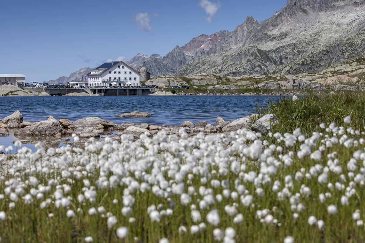 Hotel Grimsel Passhoehe Oberwald Exterior foto